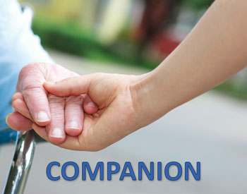 companion care