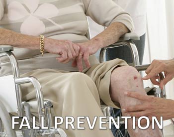 Elderly Fall Prevention Program