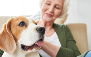 Should You Consider Getting a Senior Loved One a Pet?