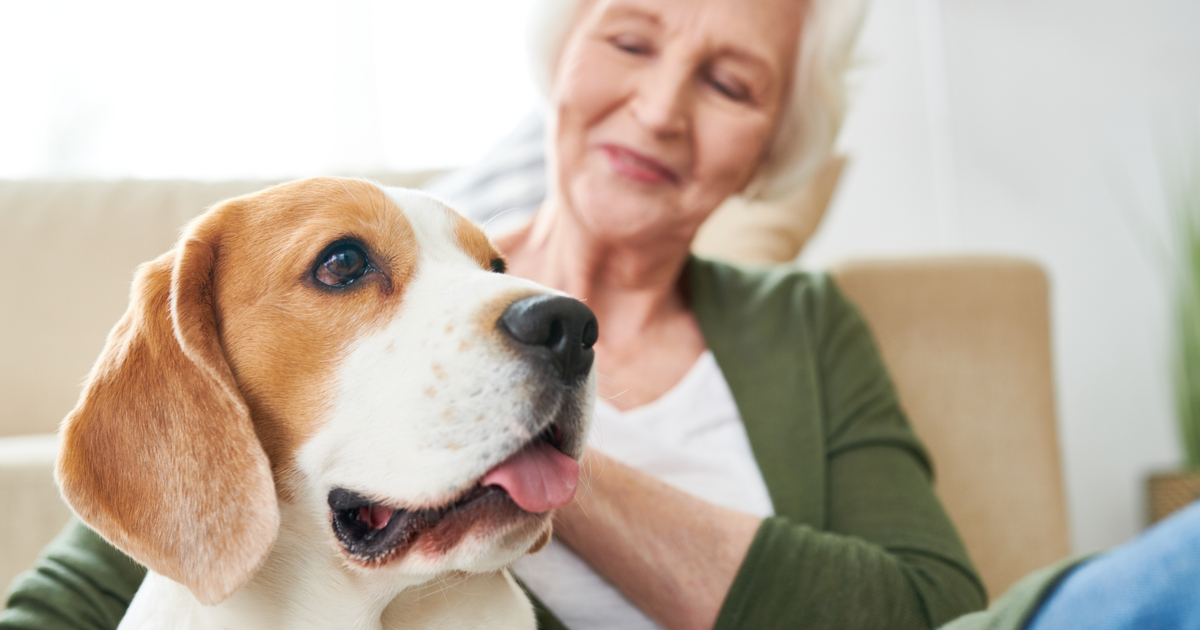 Should You Consider Getting a Senior Loved One a Pet?
